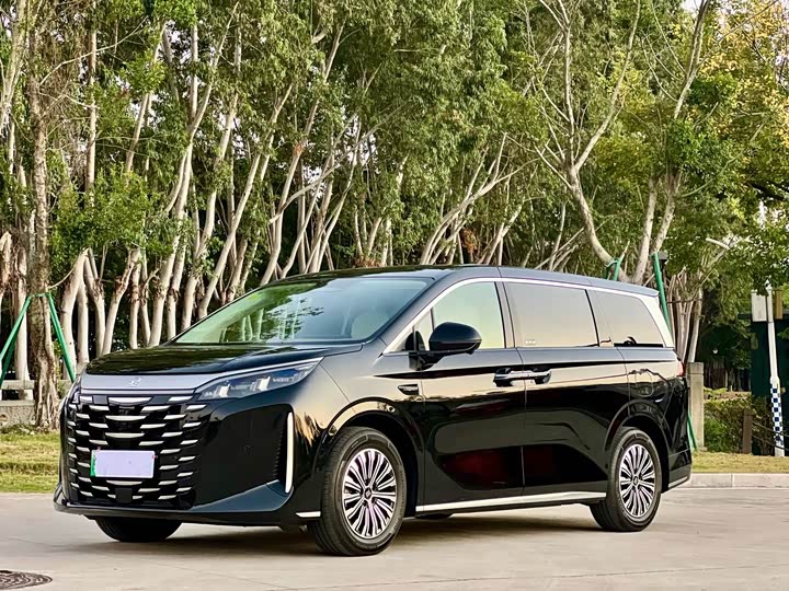 Фото 1 - BYD Xia