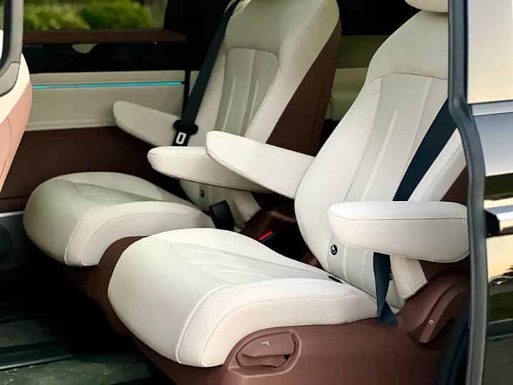 Фото 23 - BYD Xia