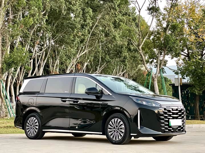 Фото 3 - BYD Xia