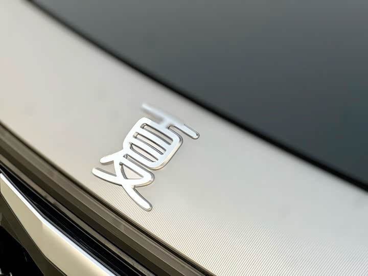 Фото 5 - BYD Xia