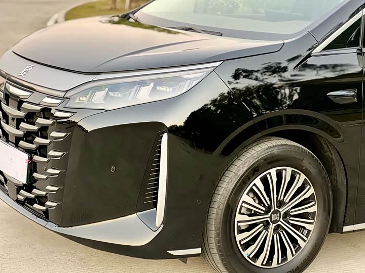 Фото 6 - BYD Xia