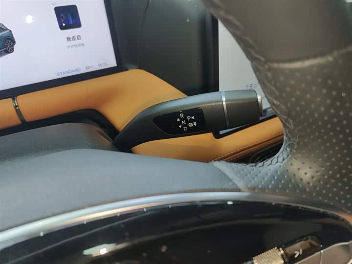 Фото 14 - XPeng G9