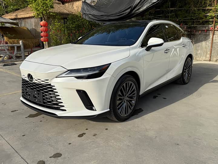 Фото 1 - Lexus RX