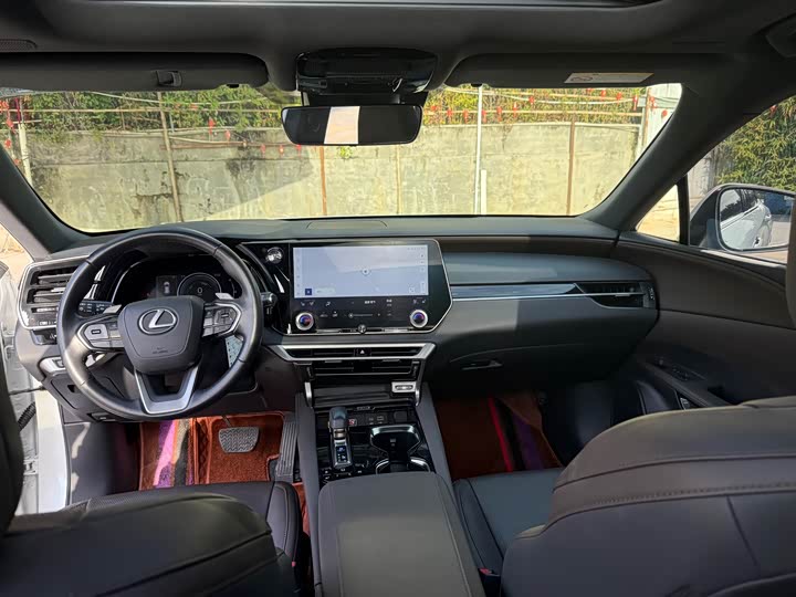 Фото 10 - Lexus RX