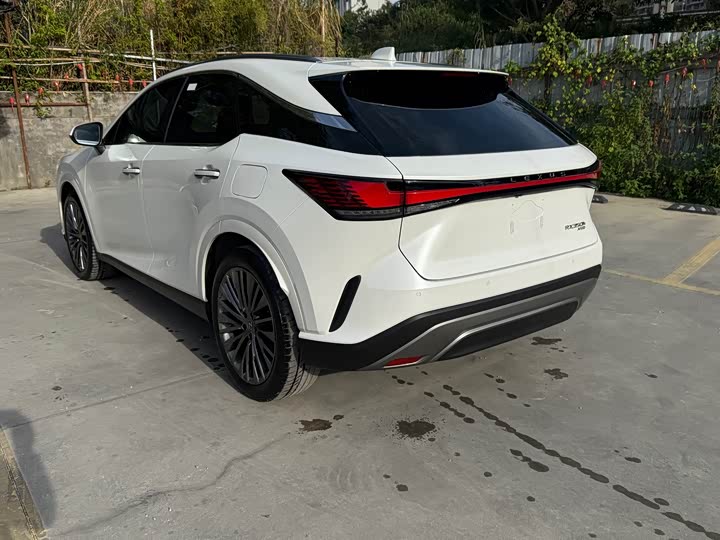 Фото 3 - Lexus RX