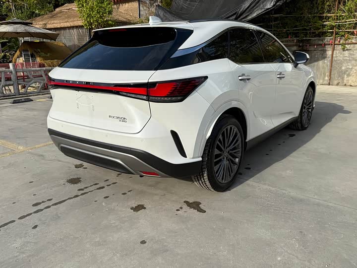 Фото 4 - Lexus RX