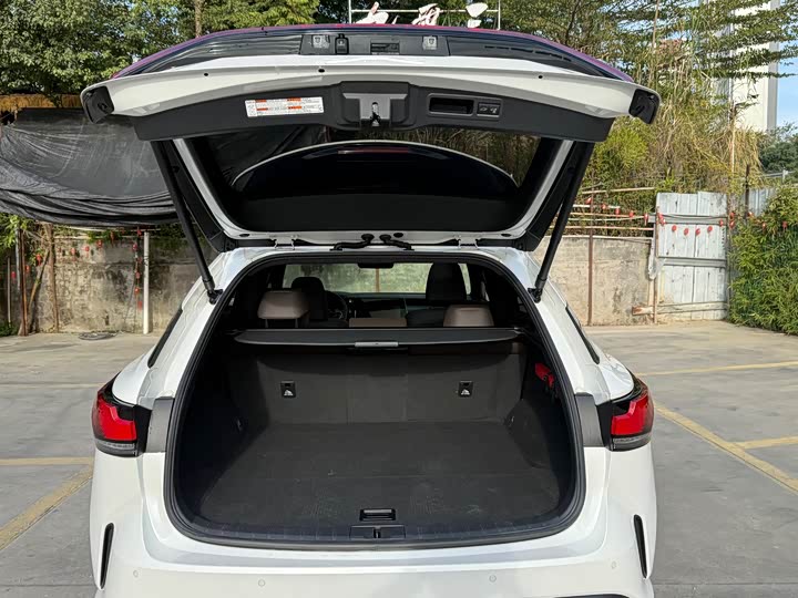 Фото 5 - Lexus RX