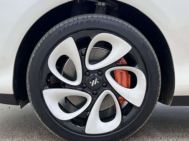 Фото 12 - IM motors LS6