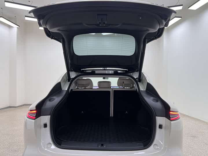 Фото 21 - IM motors LS6