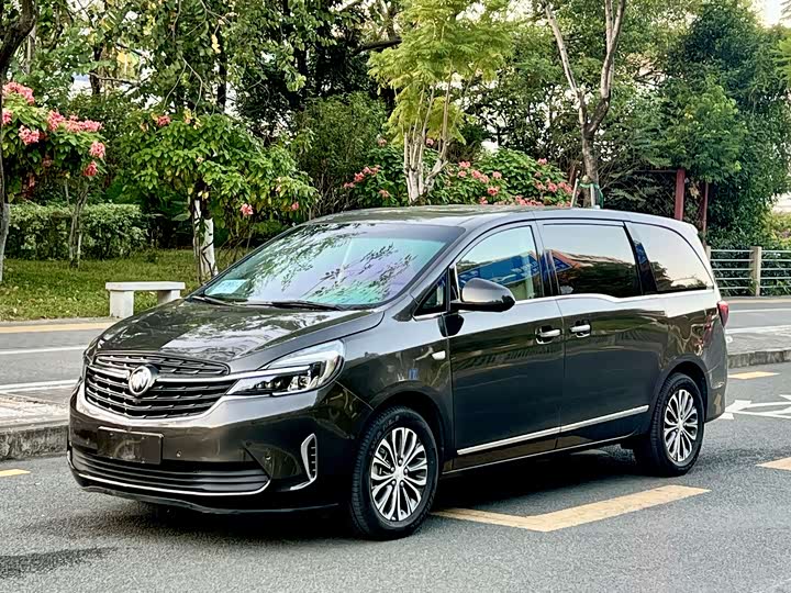 Фото 1 - Buick GL8 ES