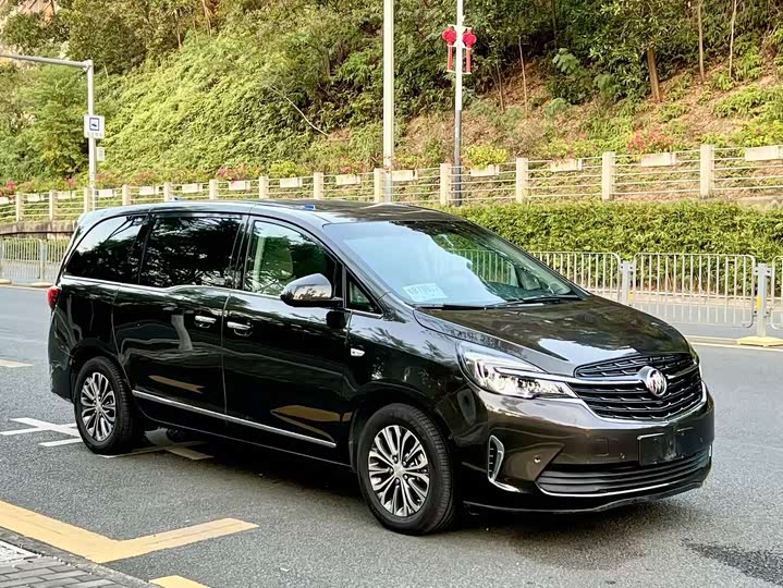 Фото 3 - Buick GL8 ES