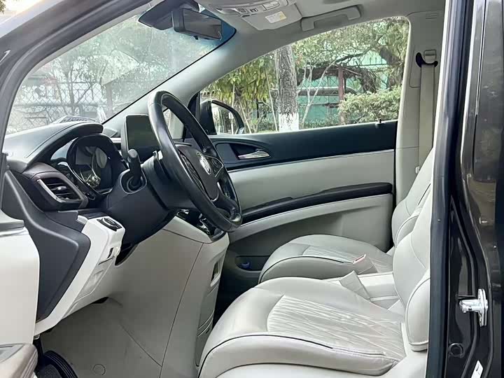 Фото 4 - Buick GL8 ES