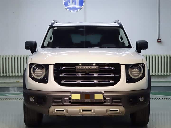 Фото 11 - Haval Dargo