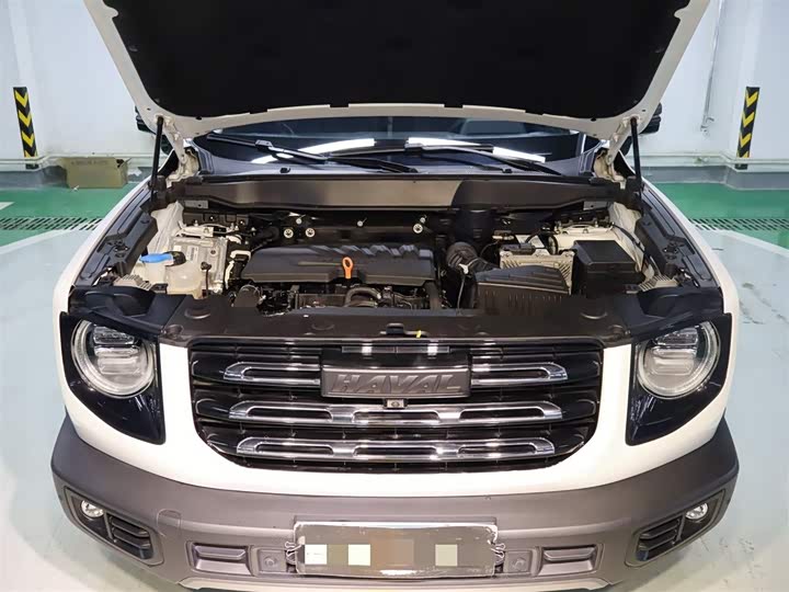 Фото 6 - Haval Dargo