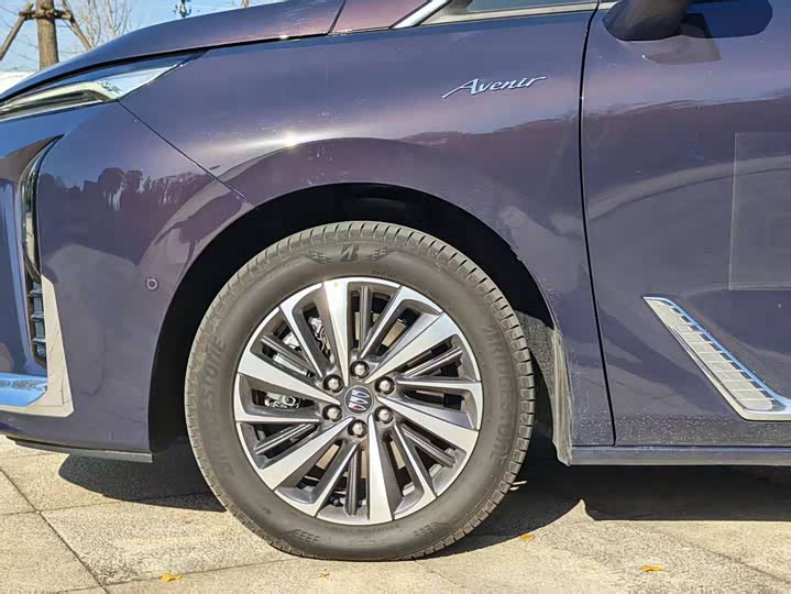 Фото 10 - Buick GL8 Hybrid