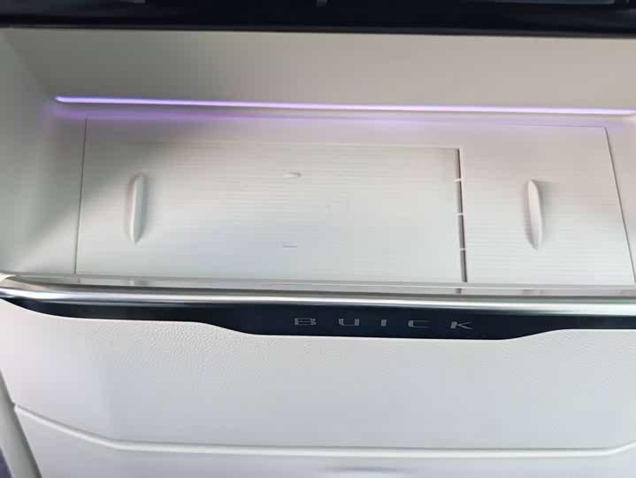 Фото 25 - Buick GL8 Hybrid