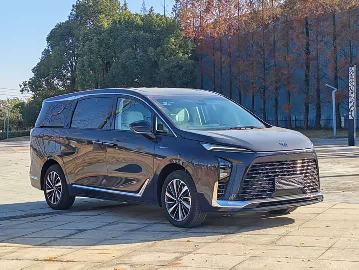 Фото 3 - Buick GL8 Hybrid