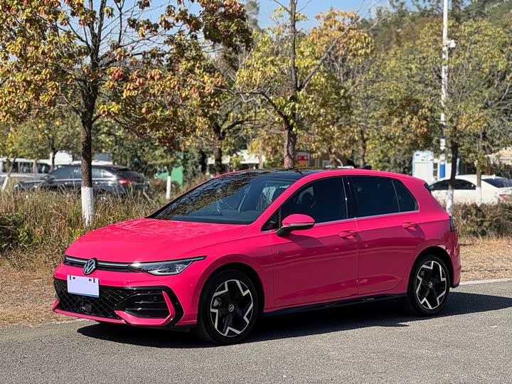 Фото 1 - Volkswagen Golf