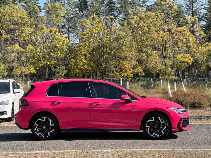 Фото 4 - Volkswagen Golf