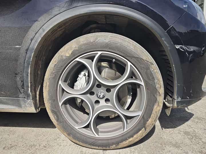 Фото 6 - Alfa Romeo Stelvio