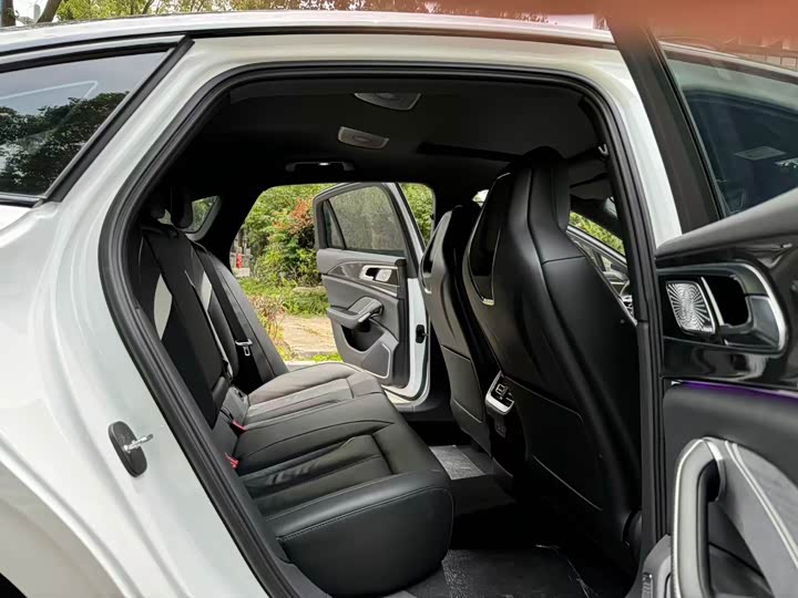 Фото 13 - Hongqi H6