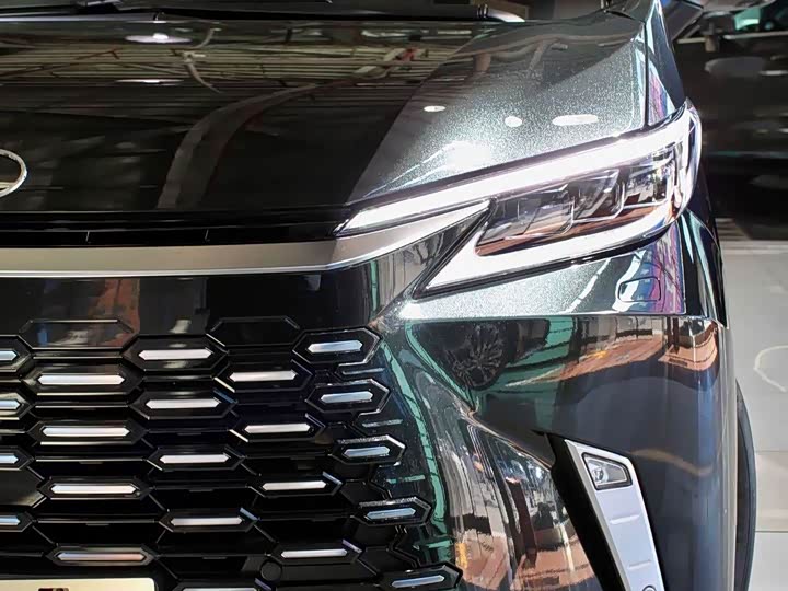 Фото 3 - Lexus LM