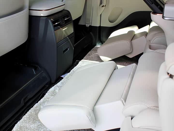 Фото 31 - Lexus LM