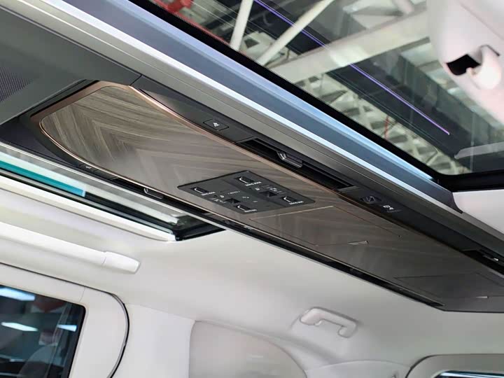 Фото 35 - Lexus LM