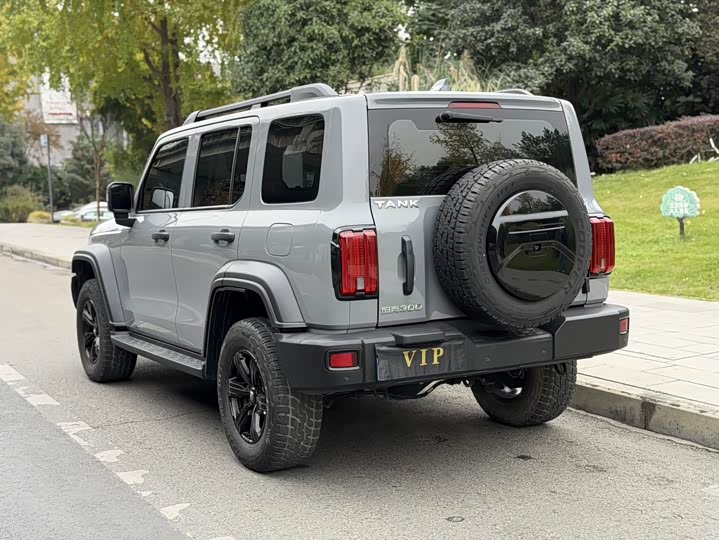 Фото 9 - Tank 300