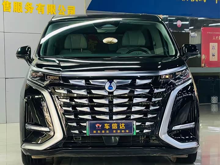 Фото 2 - Denza D9