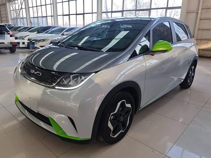 Фото 2 - BYD Dolphin