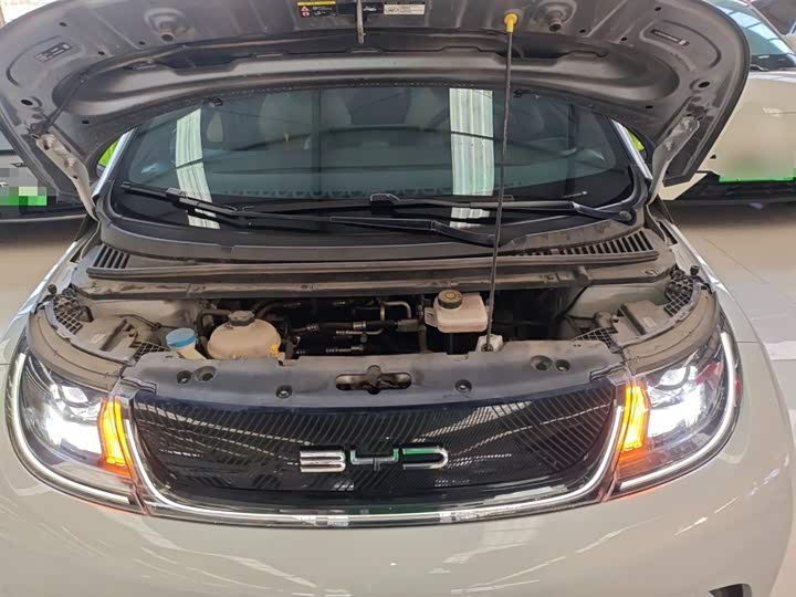 Фото 20 - BYD Dolphin