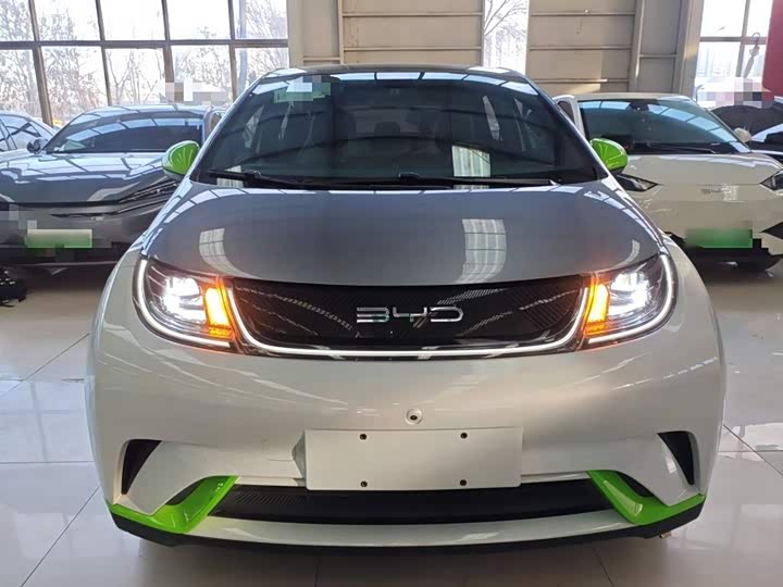 Фото 3 - BYD Dolphin