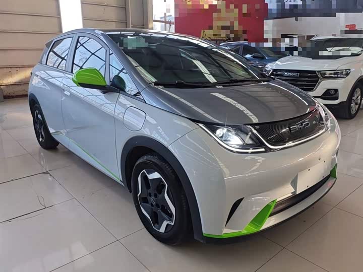 Фото 4 - BYD Dolphin