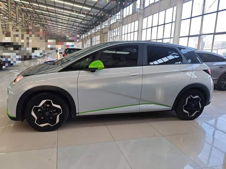 Фото 5 - BYD Dolphin