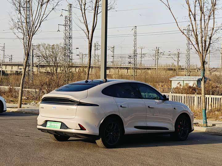 Фото 5 - IM motors LS6