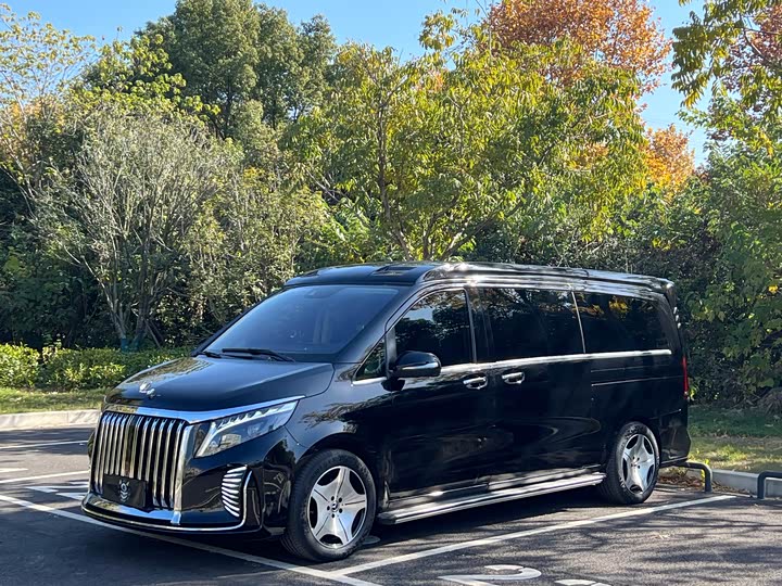 Фото 1 - Mercedes-Benz V-Class