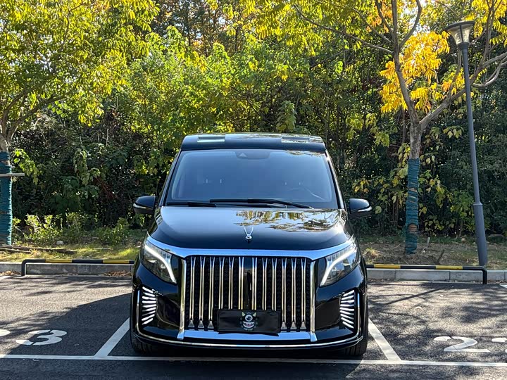 Фото 2 - Mercedes-Benz V-Class