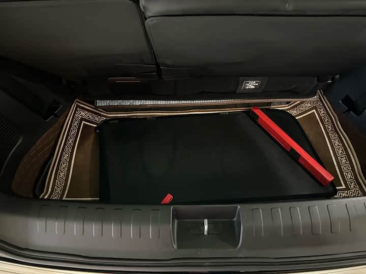 Фото 21 - GAC Trumpchi E8