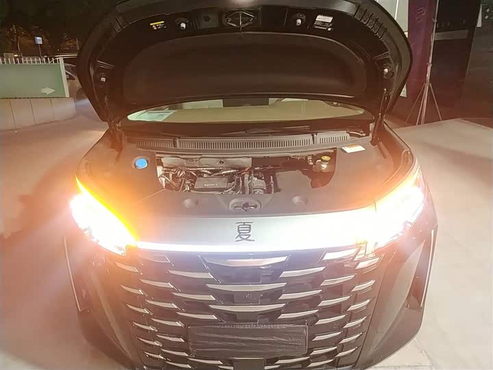 Фото 20 - BYD Xia