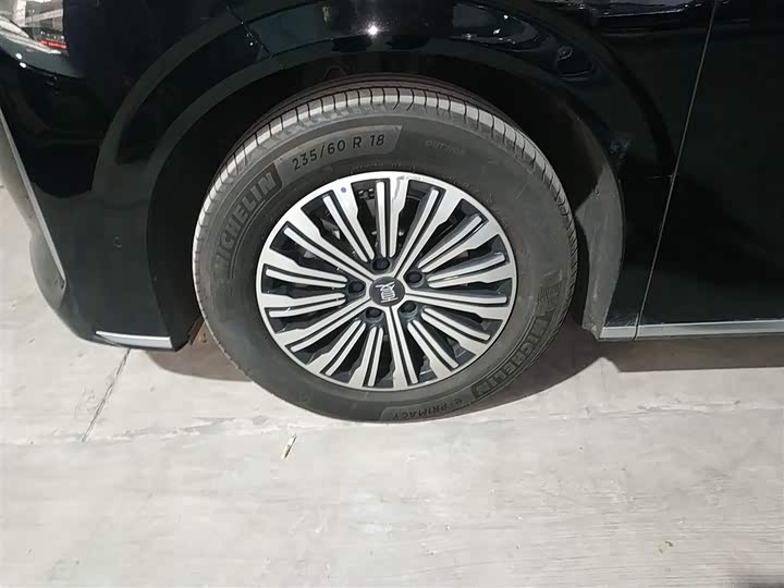 Фото 23 - BYD Xia