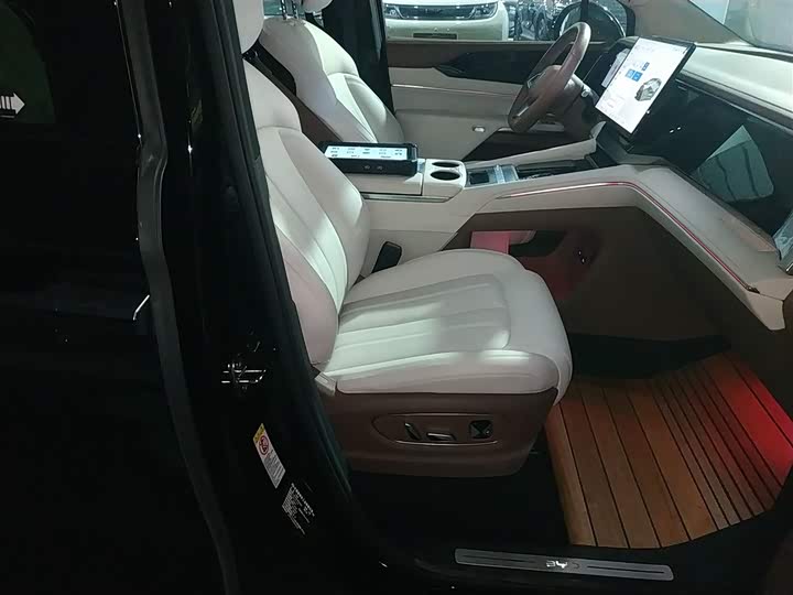 Фото 25 - BYD Xia