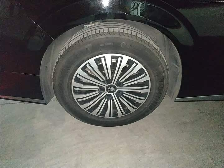 Фото 26 - BYD Xia