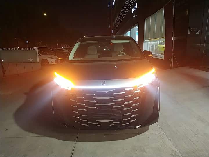 Фото 3 - BYD Xia