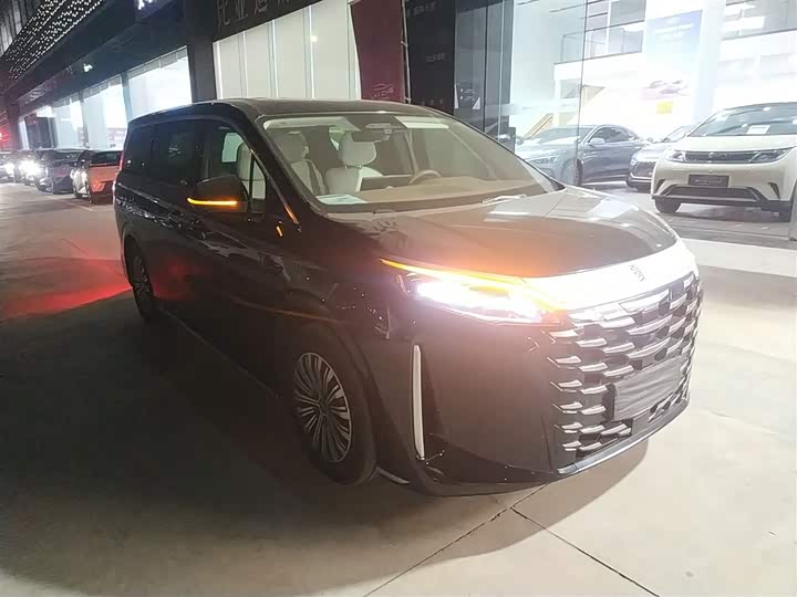 Фото 4 - BYD Xia