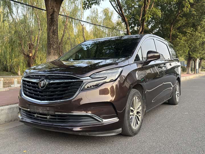 Фото 1 - Buick GL8 ES