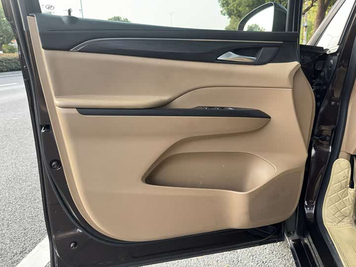 Фото 10 - Buick GL8 ES