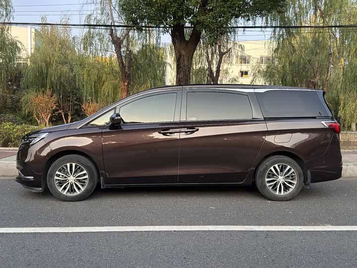 Фото 4 - Buick GL8 ES