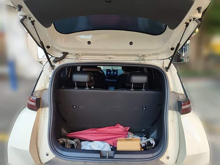 Фото 10 - BYD Seagull