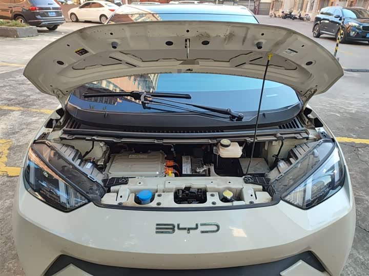 Фото 11 - BYD Seagull